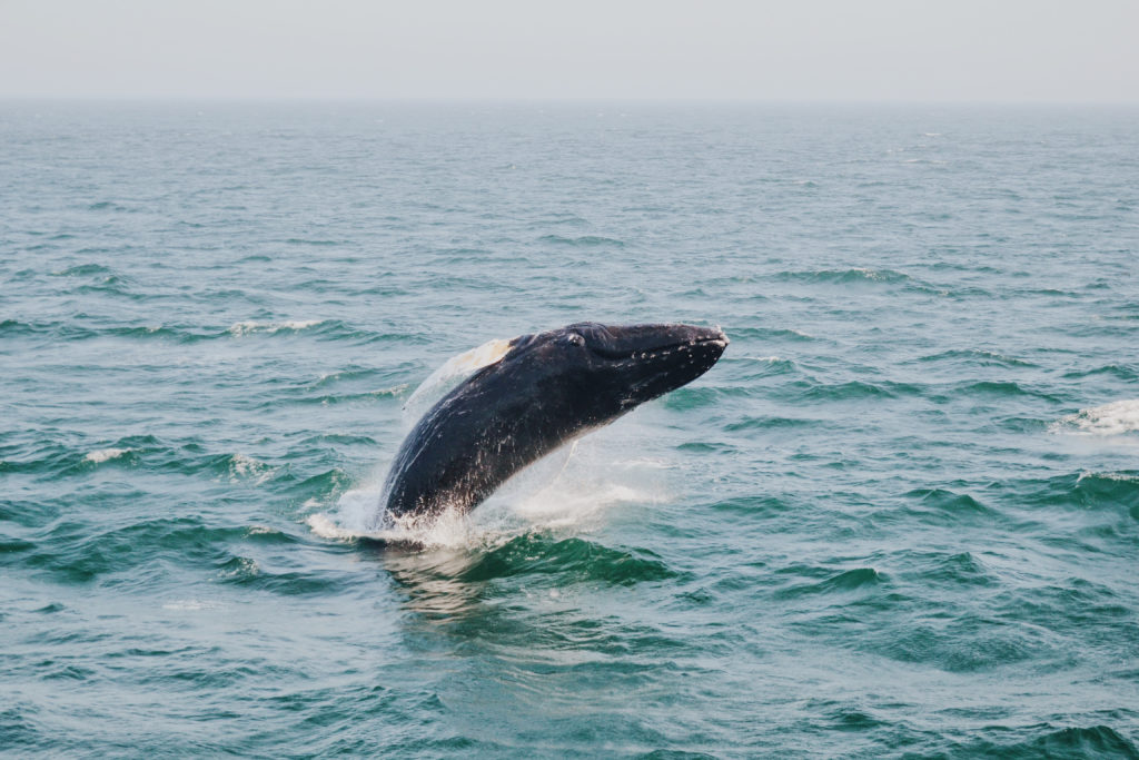 Connecting with God through nature