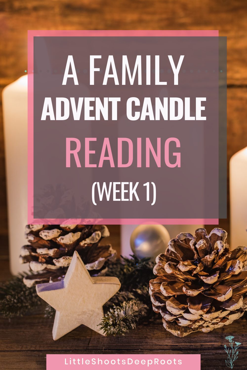 First Advent Reading