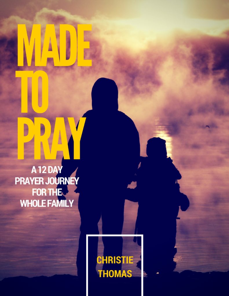Made to pray: a 12-day prayer journey for the whole family