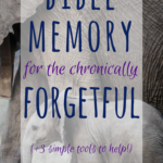 Bible memory can be so hard, especially for the chronically forgetful. Here are 3 reasons why it's important, even when it's hard, and 3 simple resources.
