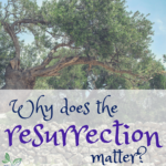 Why does the resurrection matter? #easter #biblestudy #devotional