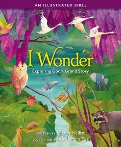 I Wonder Bible (cover)