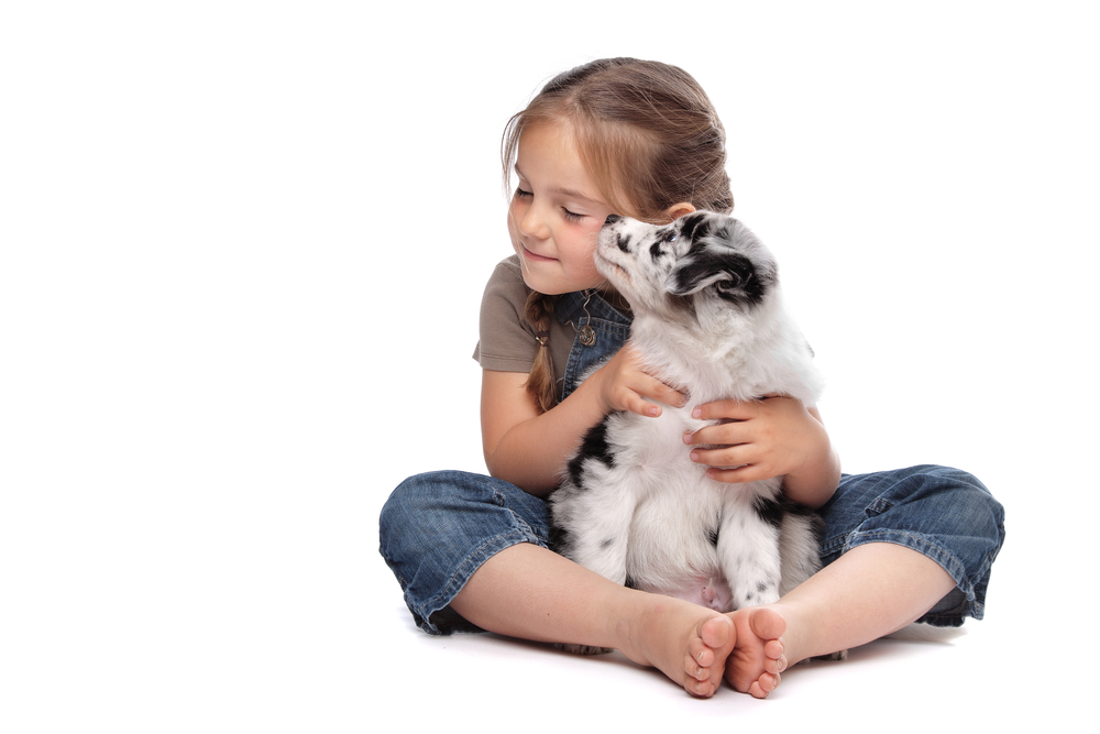 how to help a child deal with pet death