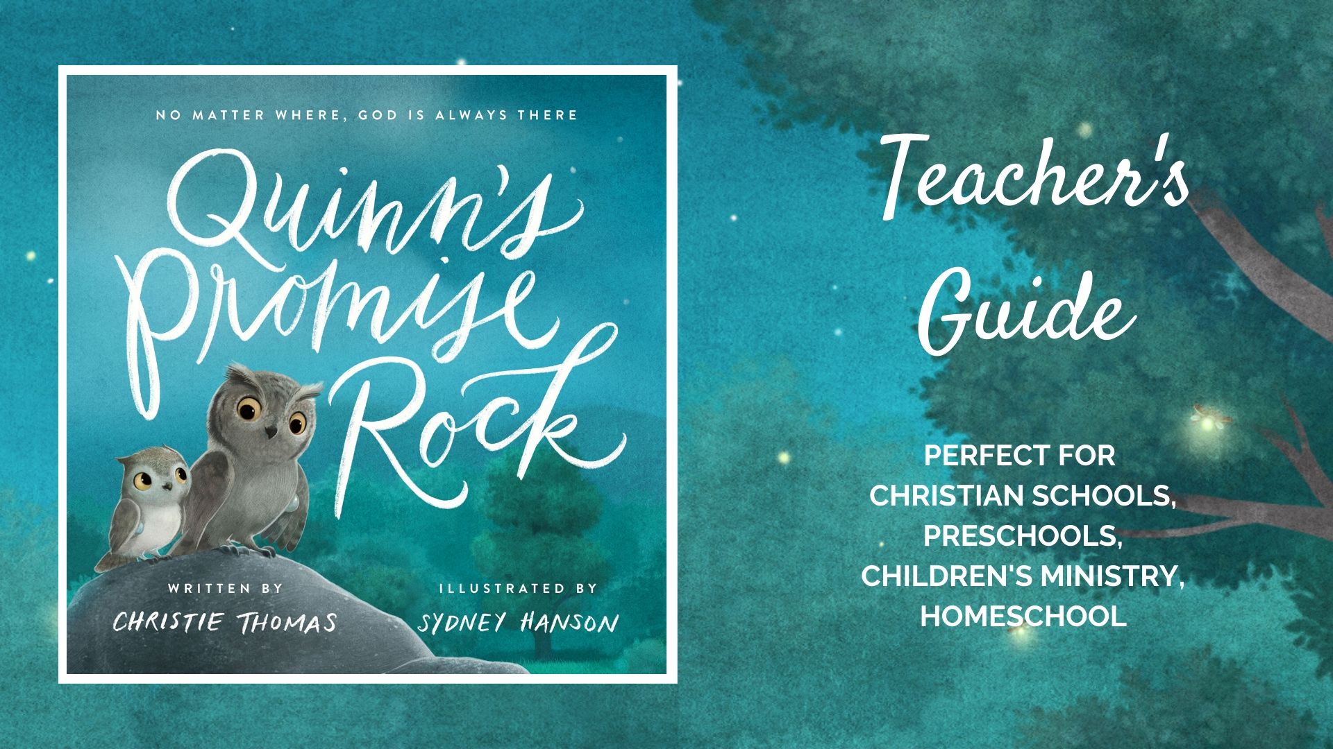 Quinn's Promise Rock teacher's guide