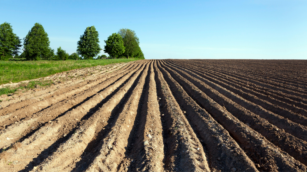 image of straight furrows down a field
