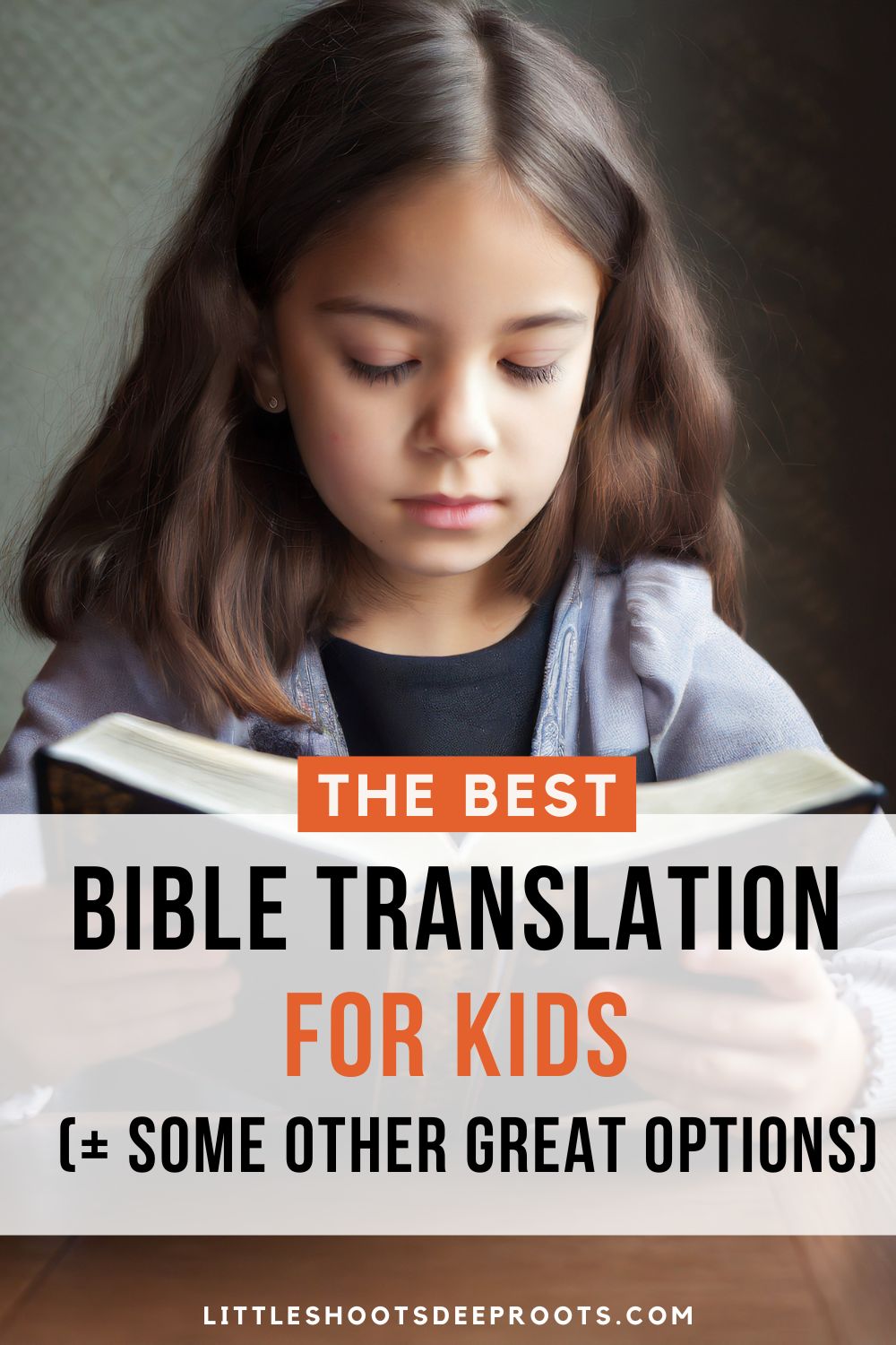 The Best Bible translation for kids