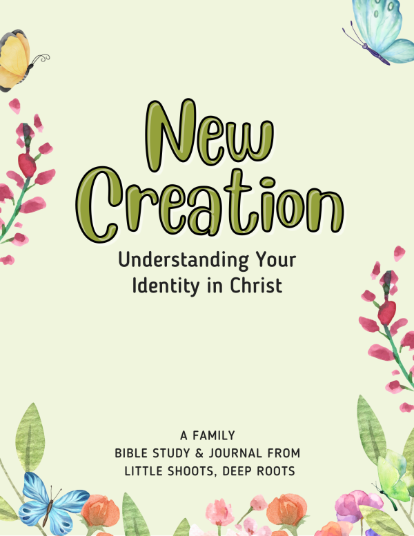 New Creation: Understanding Your Identity in Christ JOURNAL (GROUP)