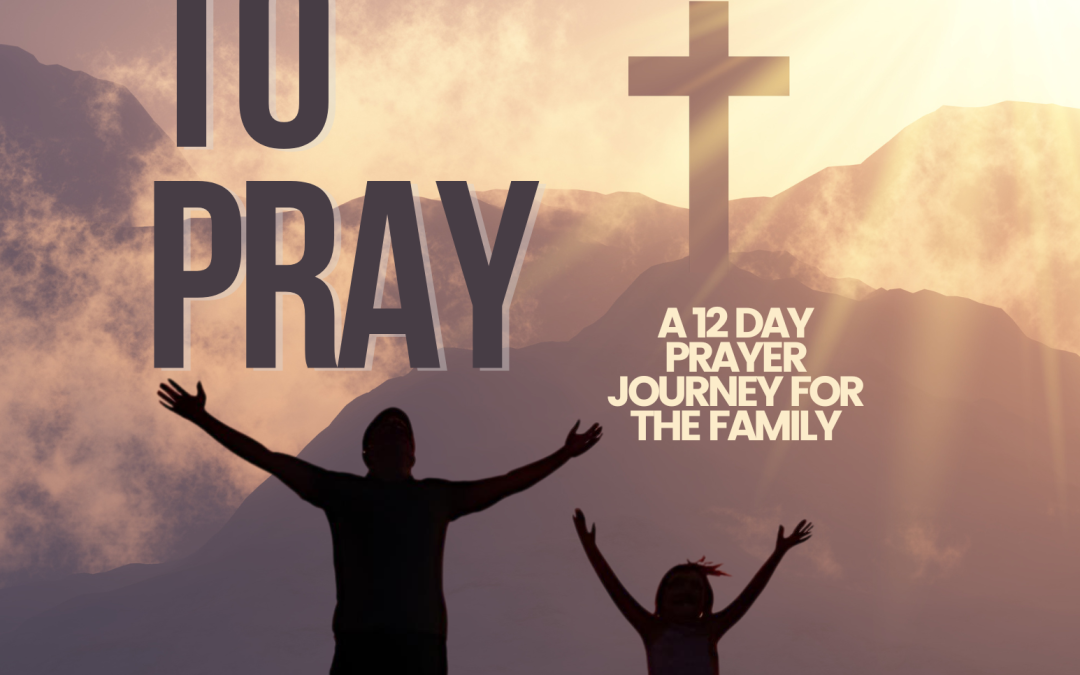 Made to pray: a 12 day prayer journey (Group License)