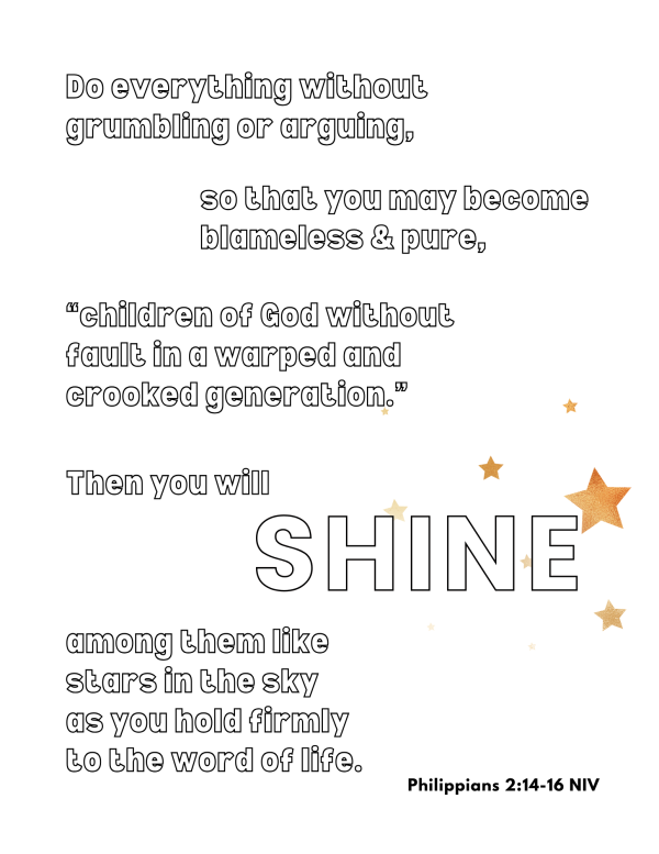 Philippians: The All-Star Team (Family Bible study) GROUP License - Image 5