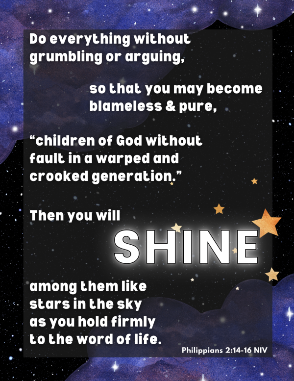 Philippians: The All-Star Team (Family Bible study) GROUP License - Image 4